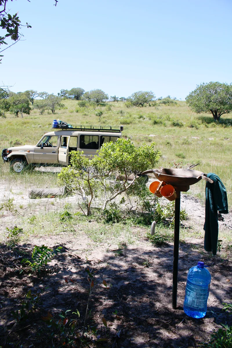 Conservation Tour Azada Verde – Mozambique mangroves