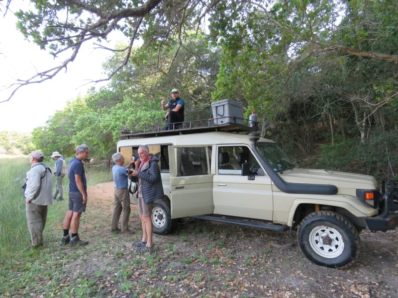 Bush camp night