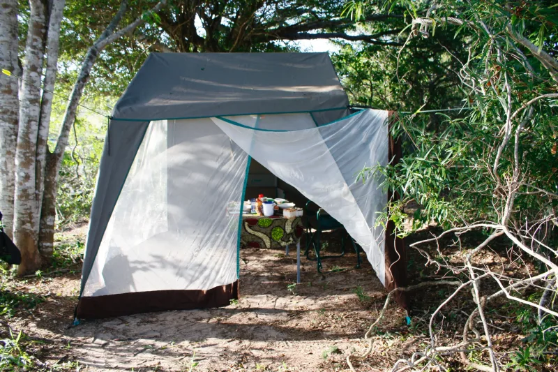 Wild camp Mozambique