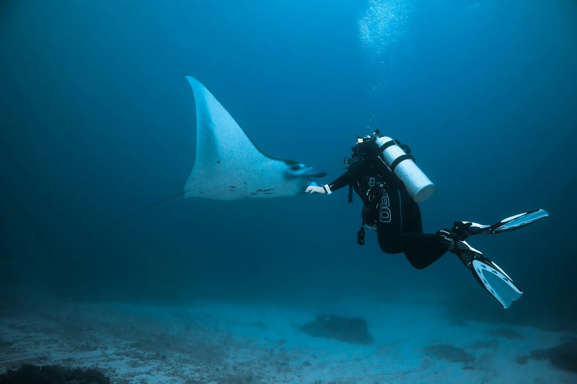 Underwater diving Mozambique