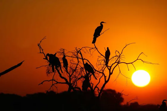 Kruger National Park