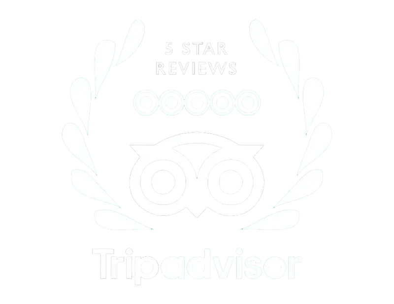 TripAdvisor 5 Star Reviews