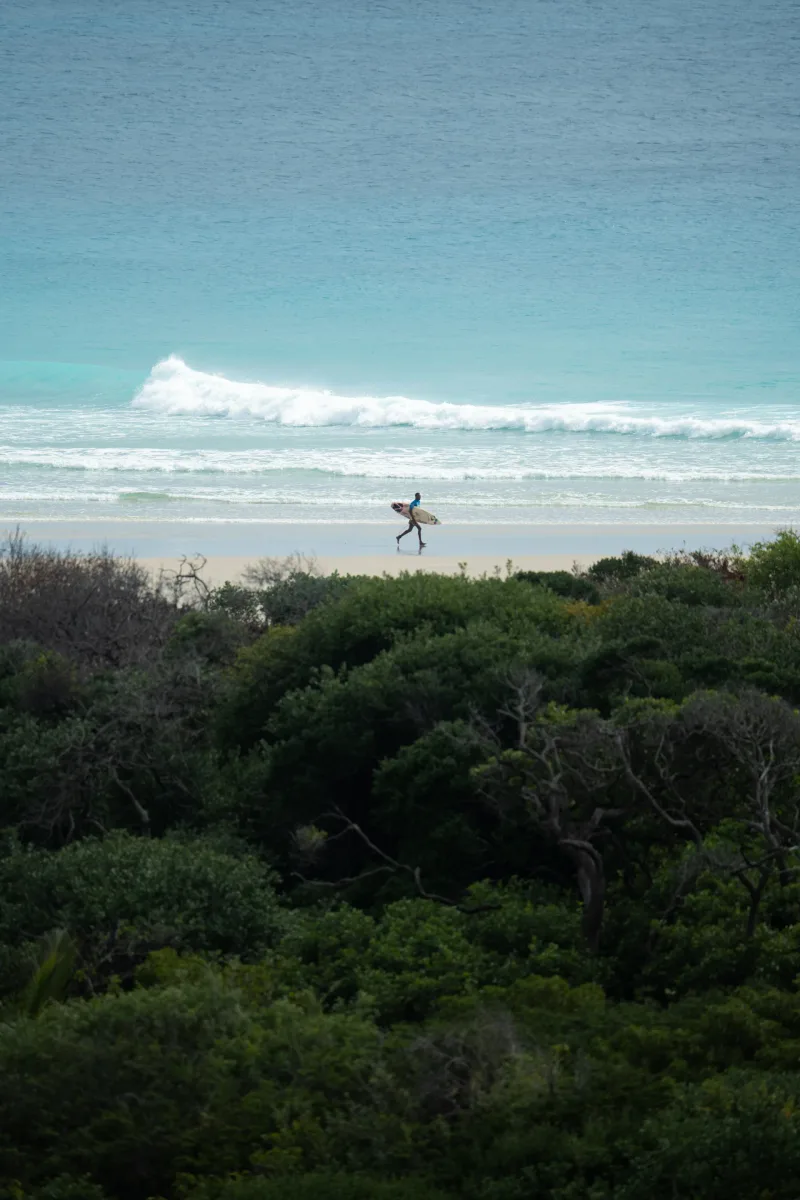 Surf session Tofo Beach