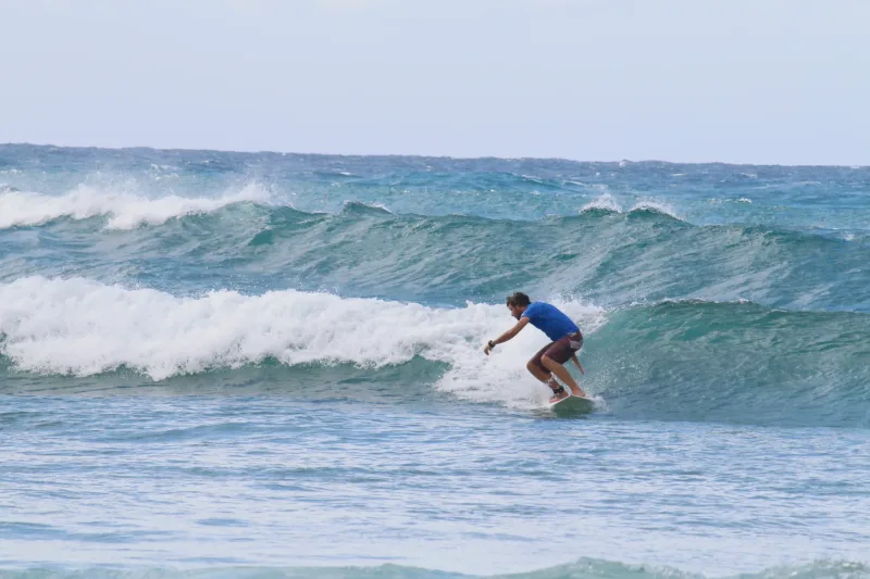 Surf and safari adventure