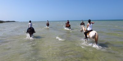 mozambique-horse-riding